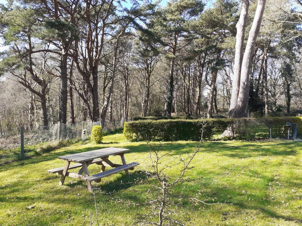 Camping Les Falaises De Toussaint Luaran gambar